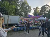 20250913_190229.webp