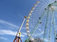 P1260821.webp