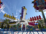 P1260838.webp