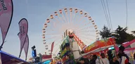 20250406_201856.webp