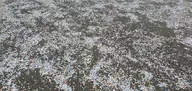 20250316_171039.webp