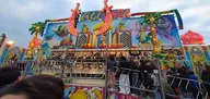 20250316_181251.webp