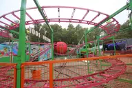 IMG_1401.webp