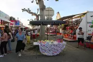 IMG_6529.webp