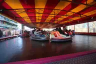 IMG_3526.webp