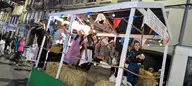 IMG_20261010_203930.webp