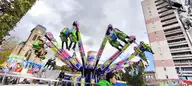 IMG_20261010_180911.webp