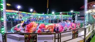 IMG_20261010_202728.webp