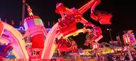 IMG_20260926_205554.webp