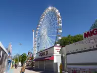 P1270728.webp