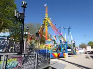 P1270743.webp