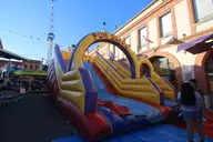 IMG_9263.webp